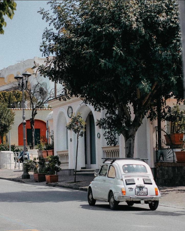 Hotel Rosetta Ischia Exteriér fotografie